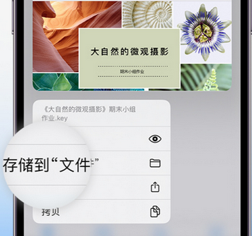 清原apple维修中心分享iPhone文件应用中存储和找到下载文件