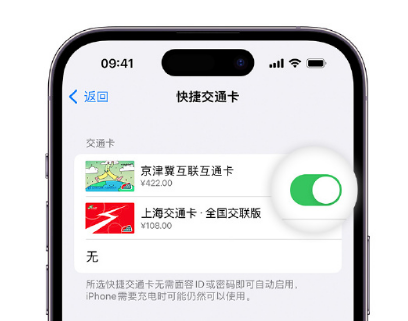 清原apple维修点分享iPhone上更换Apple Pay快捷交通卡手绘卡面 