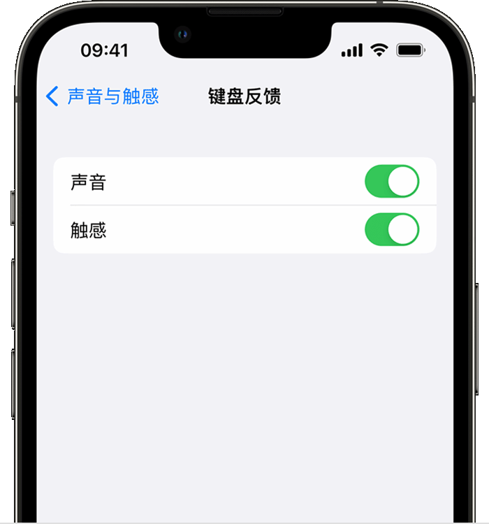 清原苹果14维修店分享如何在 iPhone 14 机型中使用触感键盘 