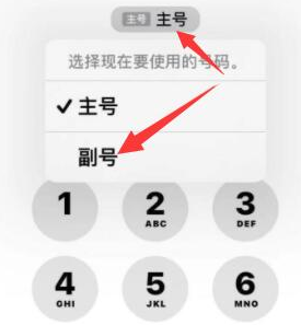 清原苹果14维修店分享iPhone 14 Pro Max使用副卡打电话的方法 