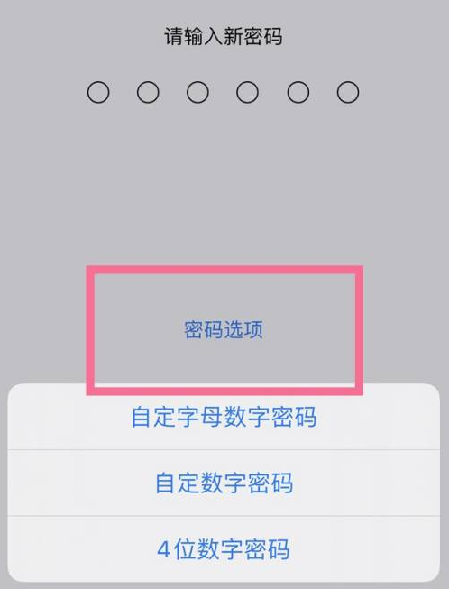 清原苹果14维修分享iPhone 14plus设置密码的方法 