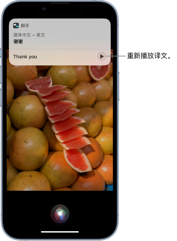 清原苹果14维修分享 iPhone 14 机型中使用 Siri：了解 Siri 能帮你做什么 