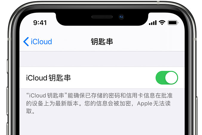 清原苹果手机维修分享在 iPhone 上开启 iCloud 钥匙串之后会储存哪些信息 