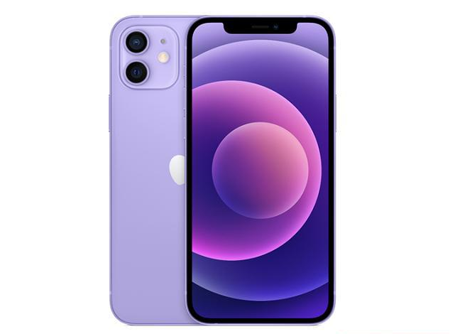 清原苹果手机维修分享现阶段要不要入手紫色版iPhone12 