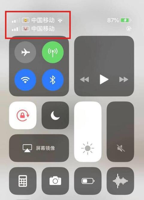 清原苹果手机维修分享为 iPhone 12 双卡设置标签 